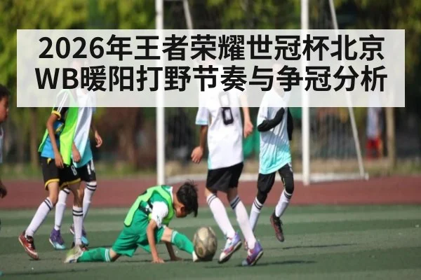 2026年王者荣耀世冠杯北京WB暖阳打野节奏与争冠分析